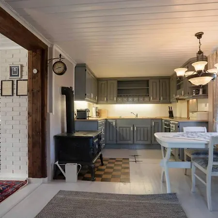 Eika Cottage: Cozy, Rural, Spacious And Well-equiped Amot (Buskerud)