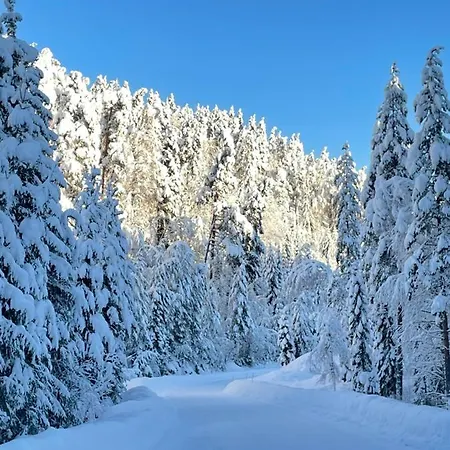 Ferienhaus Eika Cottage: Cozy, Rural, Spacious And Well-equiped Amot (Buskerud)