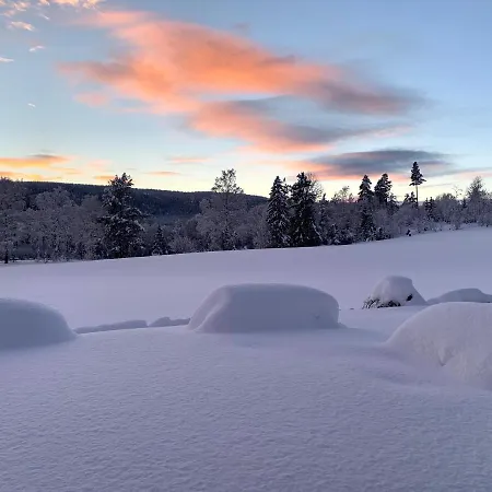 Eika Cottage: Cozy, Rural, Spacious And Well-equiped * Amot (Buskerud)