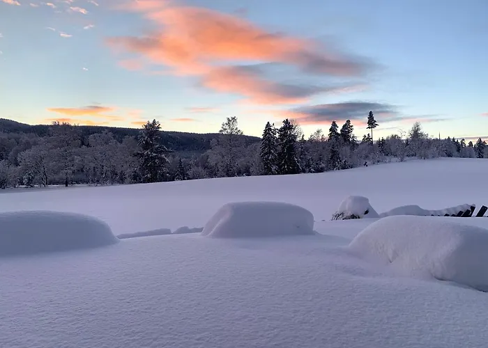 Eika Cottage: Cozy, Rural, Spacious And Well-equiped * Amot (Buskerud)