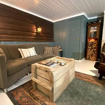 Eika Cottage: Cozy, Rural, Spacious And Well-equiped 펜션 Amot (Buskerud)
